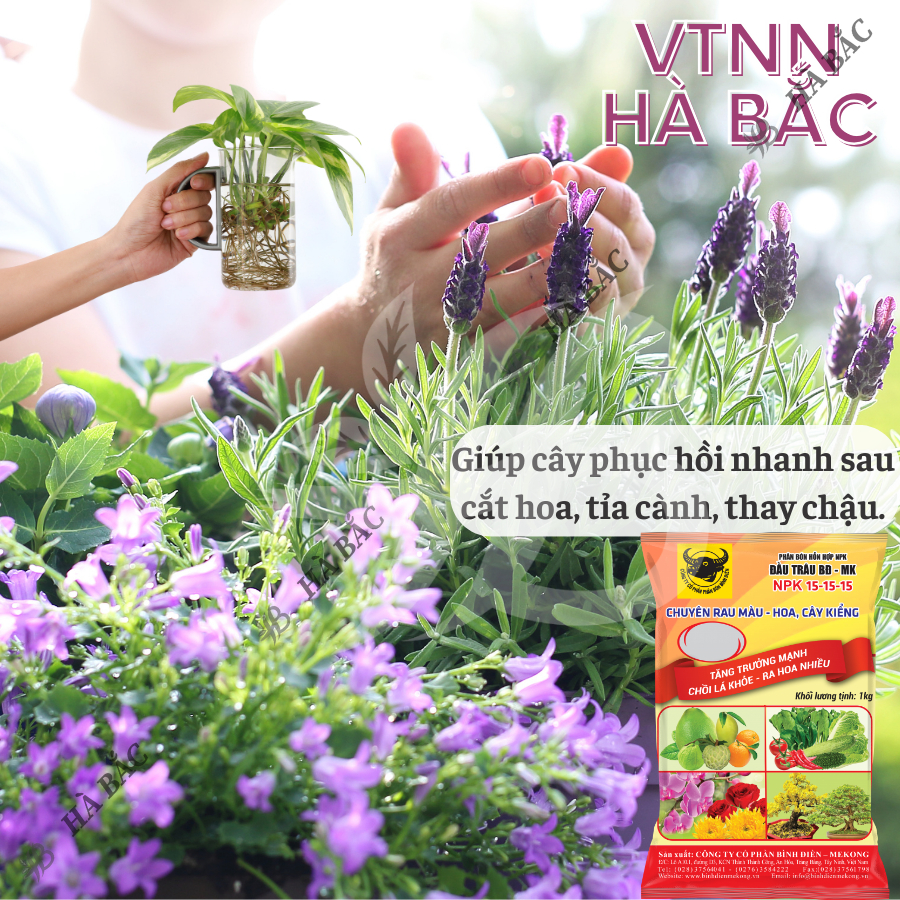Phân bón đầu trâu NPK 15-15-15 (túi 1kg) - Chuyên cho rau màu, hoa và cây kiểng, tăng trưởng mạnh, chồi lá khỏe, ra hoa