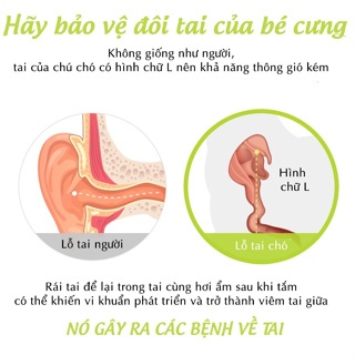 Forcans Dung Dịch Vệ Sinh Tai Thú Cưng 100ml