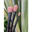 Cọ Má & Highlight Vacosi Round Fan Brush - M33