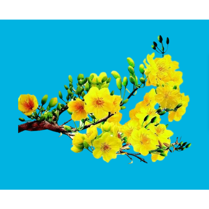 HÌNH ỦI ÁO-HÌNH HOA ỦI ÁO-ỦI TRỰC TIẾP TẠI NHÀ BẰNG BÀN ỦI-GIÁ KHUYẾN MÃI-THOTRANG.OFFICAL-LUCKY