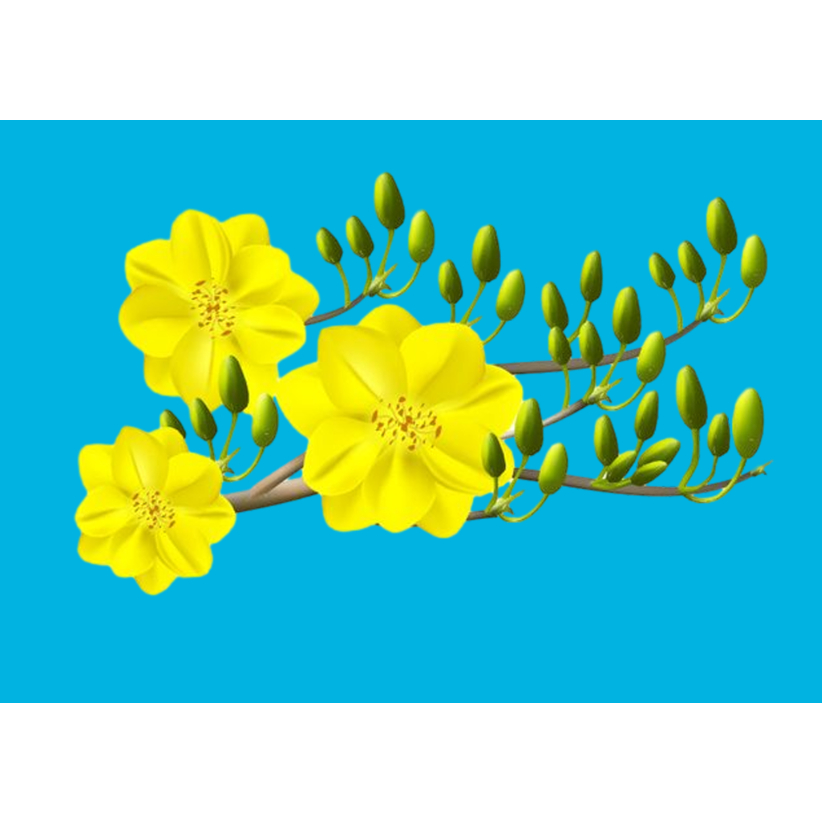 HÌNH ỦI ÁO-HÌNH HOA ỦI ÁO-ỦI TRỰC TIẾP TẠI NHÀ BẰNG BÀN ỦI-GIÁ KHUYẾN MÃI-THOTRANG.OFFICAL-LUCKY