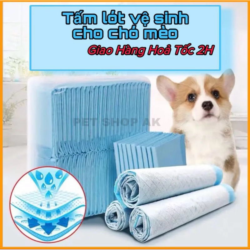 Bịch tấm lót vệ sinh cho chó mèo Dog&Caat tiện lợi