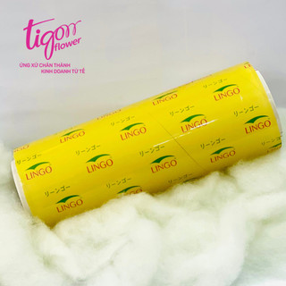 BỘ HỘP LÕI 30 gồm HỘP INOX (33,5x15x15cm) và MÀNG BỌC THỰC PHẨM LINGO 31,5cmx500m (ĐƯỢC ĐỒNG KIỂM)