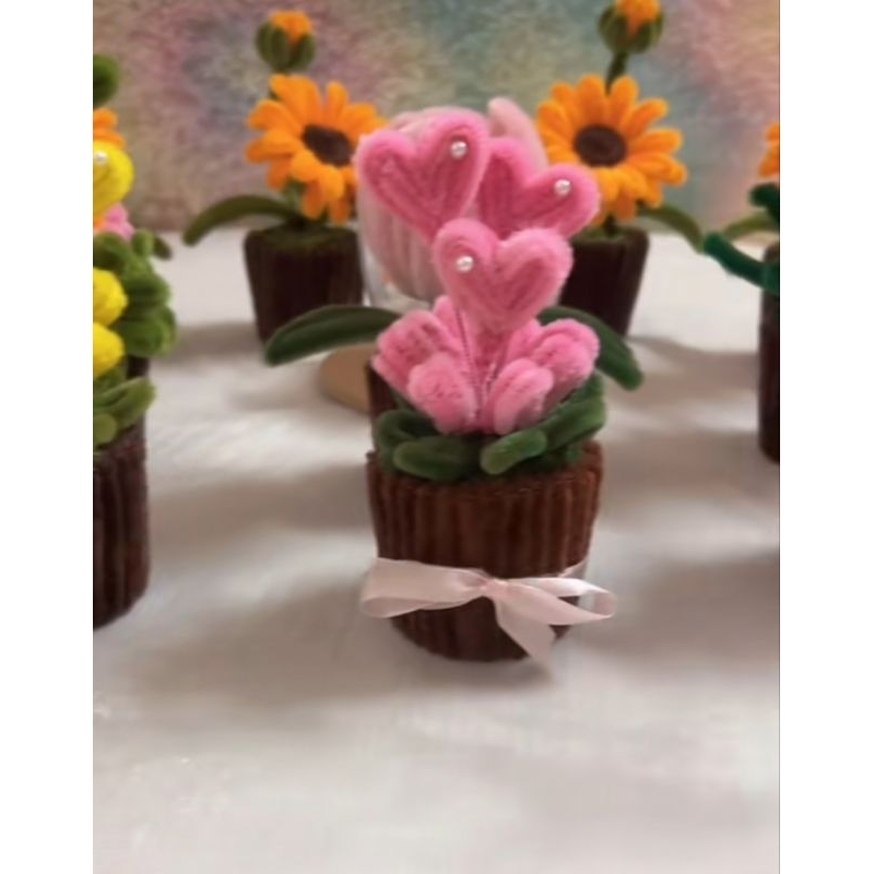 Chậu Trái Tim Kẽm Nhung Mini Decor, Quà Tặng Siêu Xinh