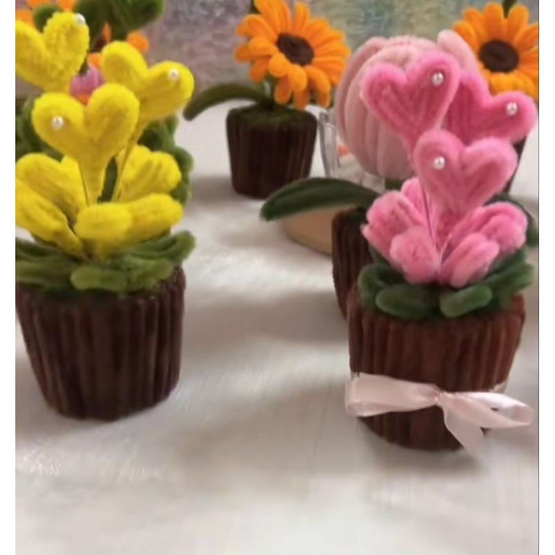 Chậu Trái Tim Kẽm Nhung Mini Decor, Quà Tặng Siêu Xinh