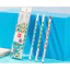 Bút Chì Lỗ TOMI Bút Chì Định Vị Ngón Tay Bút Chì HB 2B Cho Bé Tập Viết 030
