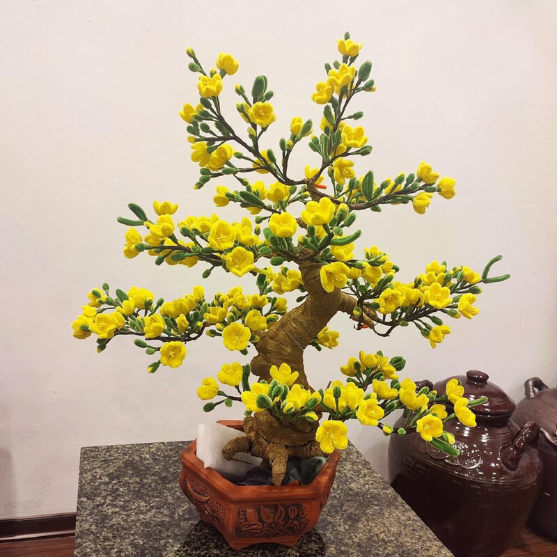 Cây mai kẽm nhung - Giá Tốt, Sale Tháng 07, Freeship 0Đ | Shopee Việt Nam