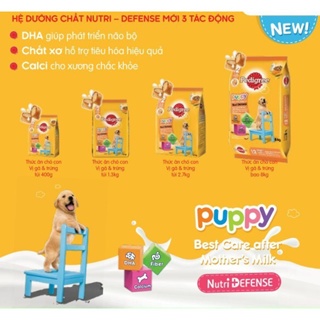 Thức Ăn Hạt Pedigree Cho Chó 1.3kg-3kg