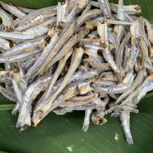 1KG Cá Cơm khô Mũi Né không đầu hàng chuẩn xuất khẩu Đặc sản Bình Thuận