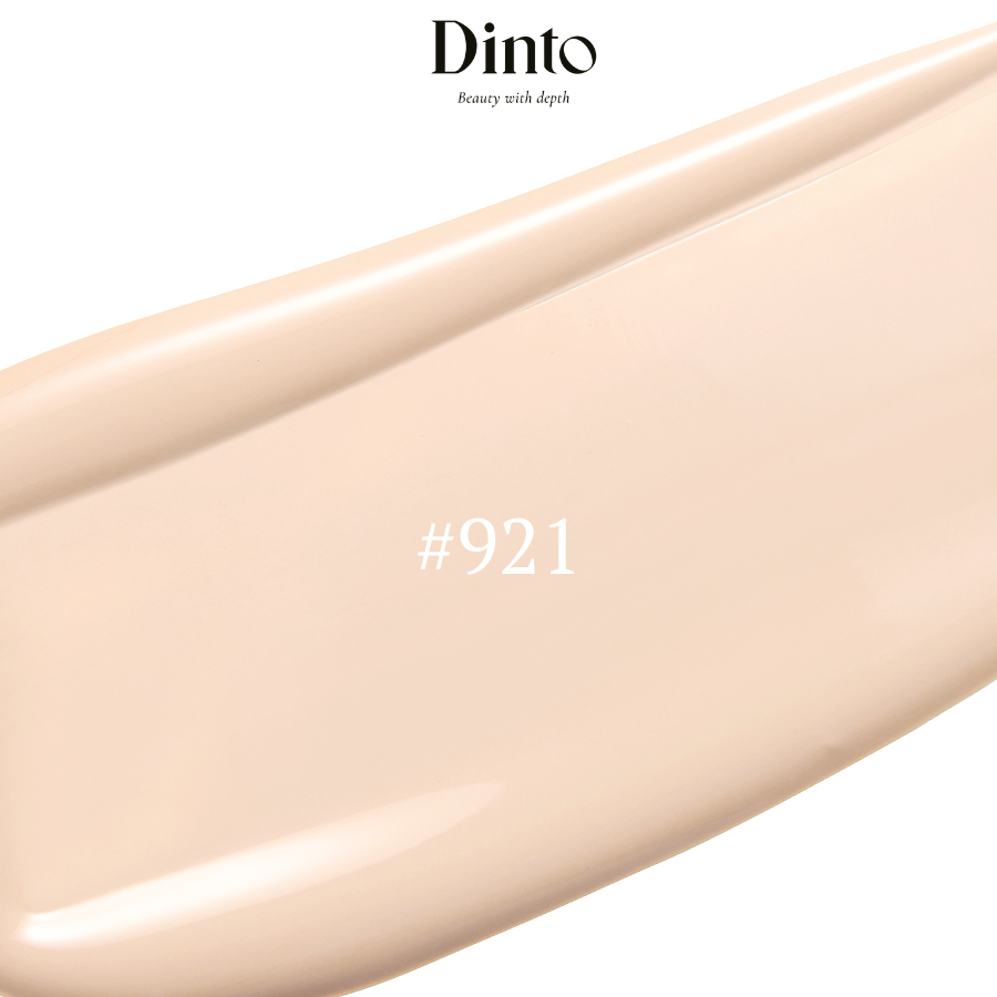 Kem Nền Màu Lì Kiềm Dầu Mịn Nhẹ Che Khuyết Điểm DINTO Wooncho Blur-Matte Foundation 2 Màu Thuần Chay
