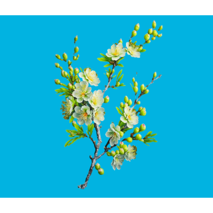Hình ủi nhiệt-Hình hoa đào ủi quần áo-Uỉ trực tiếp lên áo tại nhà bằng bàn ủi-Gía khuyến mãi-theo yêu cầu inbox shop