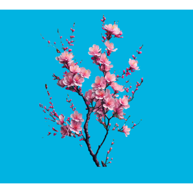 Hình ủi nhiệt-Hình hoa đào ủi quần áo-Uỉ trực tiếp lên áo tại nhà bằng bàn ủi-Gía khuyến mãi-theo yêu cầu inbox shop