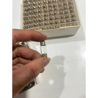 Combo 10 bóng đèn trần, Cabin ô tô. Bóng con lợn 2 đầu 12/24v (Halogen)