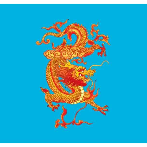 Hình ủi nhiệt-hình rồng con may mắn ủi áo-ủi trực tiếp tại nhà bằng bàn ủi-Gía khuyến mãi-theo yêu cầu inbox shop