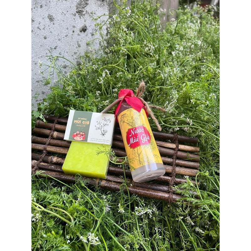 NƯỚC THƠM MÙI GIÀ HƯƠNG VIỆT CỔ TRUYỀN mang hương vị tết đến mọi nhà