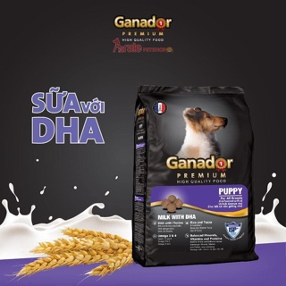 Thức Ăn Hạt Khô Cho Chó Ganador Premium – Túi 3kg | Dinh Dưỡng Cân Bằng, Lông Mượt, Khỏe Mạnh