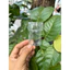 Lồng chim dola huế - ống nước nhựa khuyên/ ốc mít/ hút mật