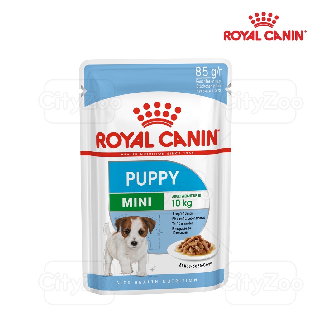 Pate Thức Ăn Ướt Cho Chó ROYAL CANIN 85g-140g