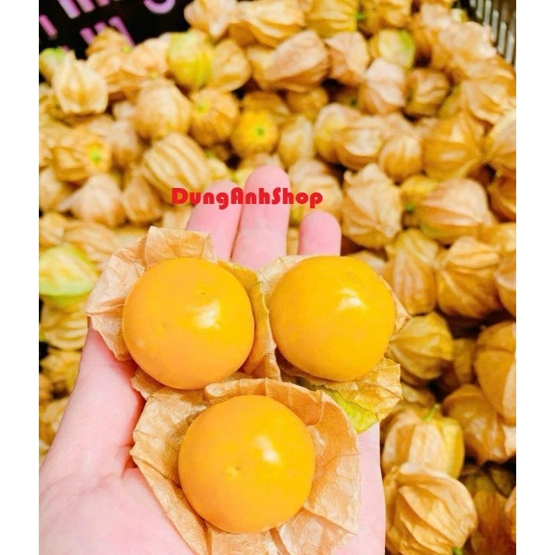 Sale Off Lớn | Mua 1 tặng 1 | 200g Trái Thù Lù thơm ngon bổ dưỡng ...