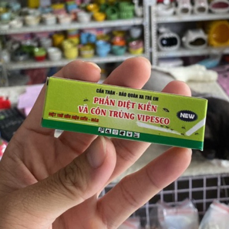 Phấn diệt kiến chuồng ốc mượn hồn, ốc rụt rè, cua ẩn sỉ, dã tràng ...