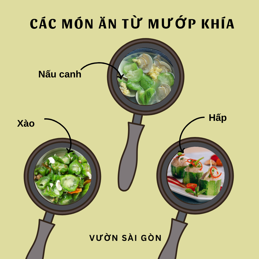 Hạt Giống Mướp Khía Phú Nông 4