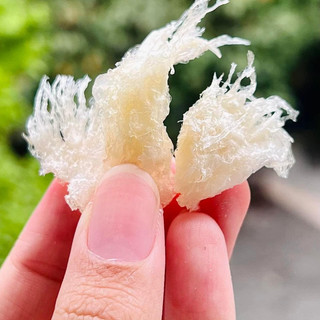Hộp 10g Chân Yến Tinh Chế Dùng Thử - Sản Phẩm Chất Lượng - Yến Nàng Hương - Yến Sào Chính Hãng