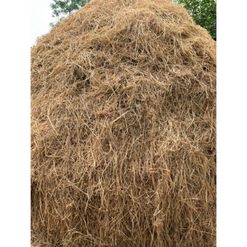 1kg Rơm Khô - Làm ổ cho pet, làm đồ decor nhà cửa, trồng rau/cây cảnh ...