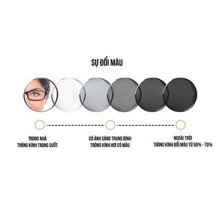 TRÒNG  KÍNH CẬN - LOẠN - VIỄN NGĂN TIA UV, NGĂN ÁNH SÁNG XANH, ĐỔI MÀU