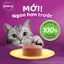 WHISKAS Combo 3 Thức Ăn Cho Mèo Trưởng Thành Dạng Pate Mix 3 Vị 400G (dạng lon)