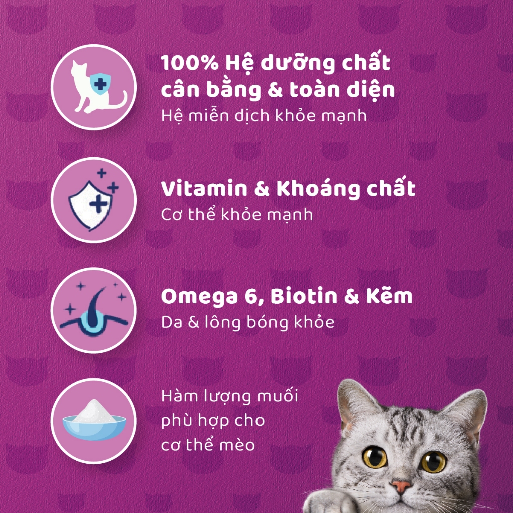 Ảnh Combo thức Ăn Cho Mèo Trưởng Thành Dạng Pate WHISKAS Mix 3 Vị 400G (dạng lon) 2