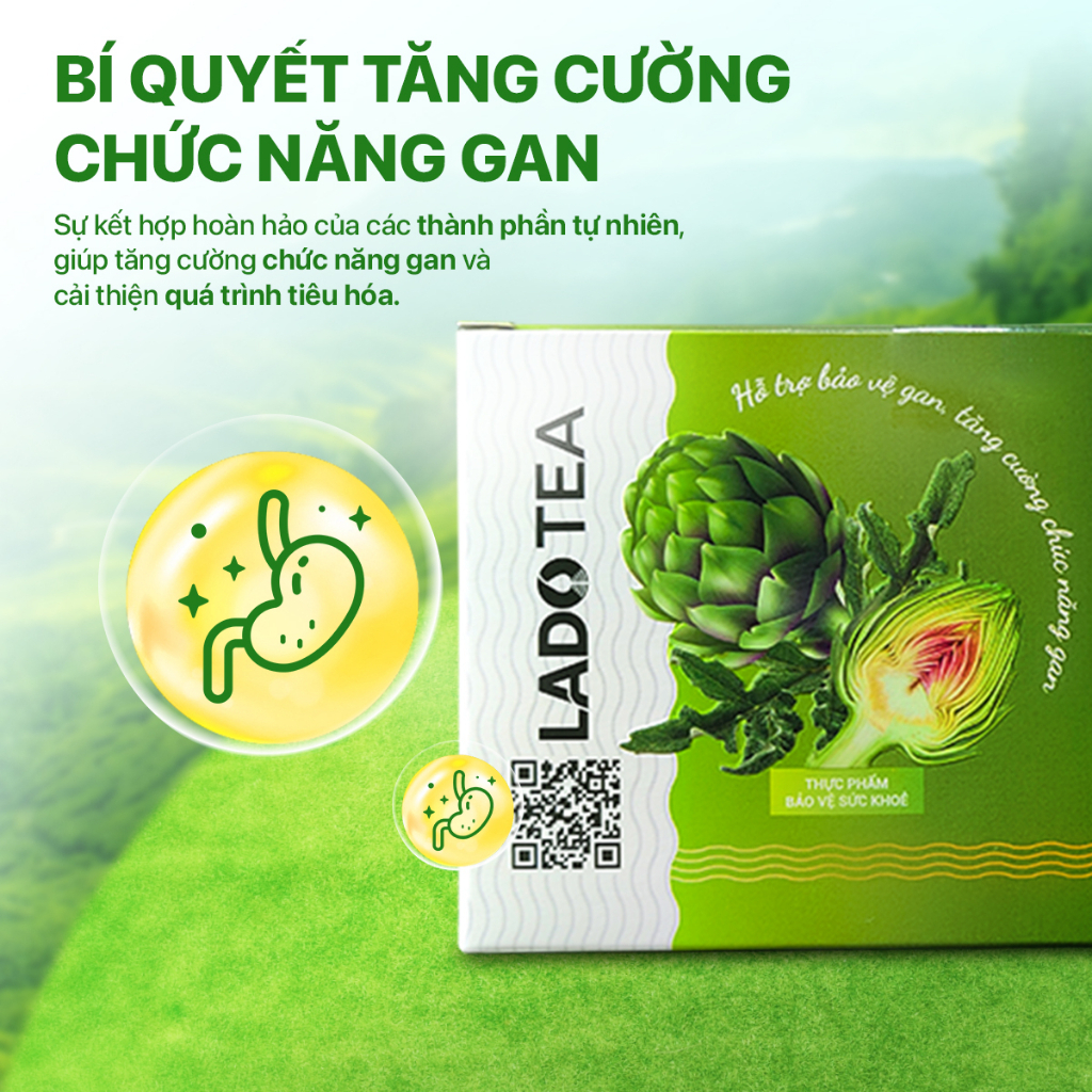 Trà Atiso túi lọc LADOPHAR thảo mộc giải độc thanh lọc cơ thể tăng cường  chức năng gan Túi 100 gói | Shopee Việt Nam