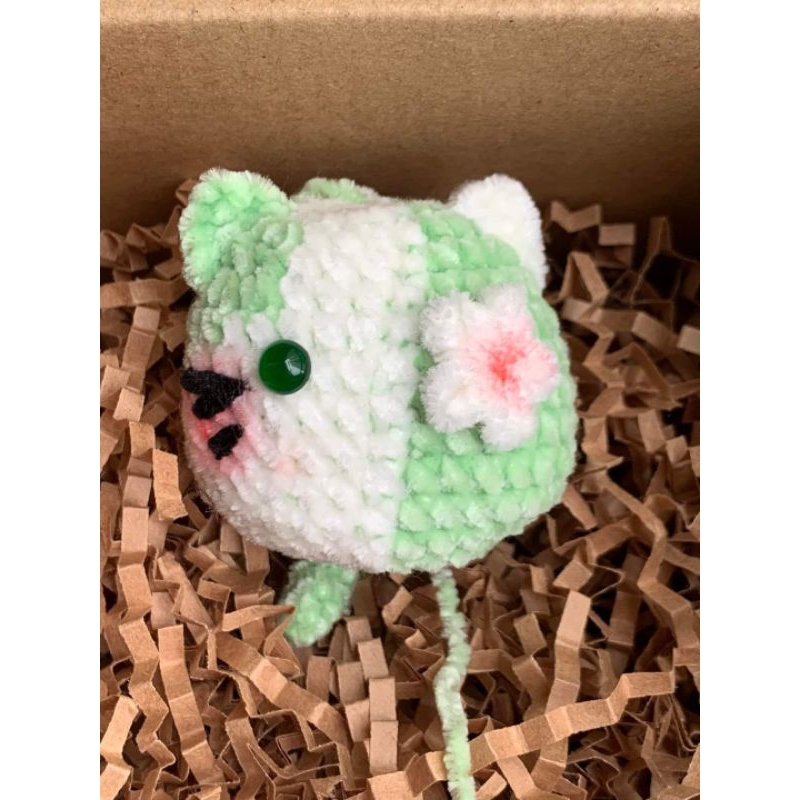 mèo mini cat | Shopee Việt Nam