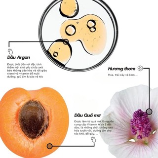 Tinh dầu dưỡng tóc giúp tóc bóng mượt mềm mại, giữ ẩm và phục hồi cho tóc MORPHOSIS SUBLIMIS OIL PURE 100ML
