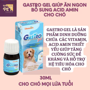 GASTRO GEL Giúp Thèm Ăn Cho Chó Kén Ăn Chai 30ml Hỗ Trợ Tiêu Hoá - KIKINO