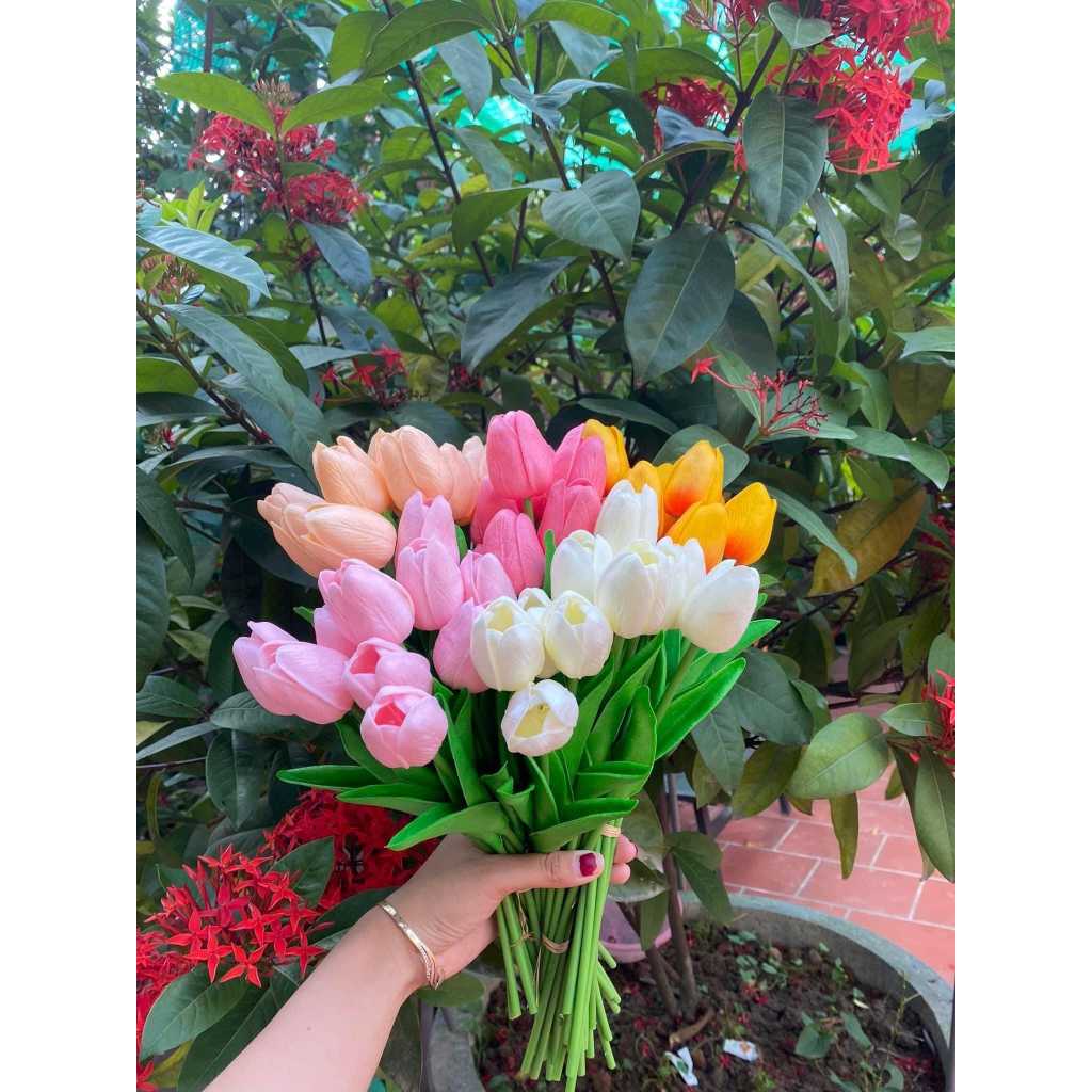 HOA TULIP ( trang trí nhà cửa , trang trí tết , cửa hàng , ...... )