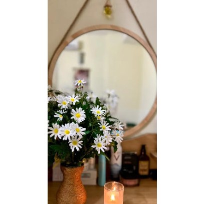 Gương soi toàn thân hình cá heo Nhu Y Decor kiếng trang điểm soi cả người cực kì xinh xắn