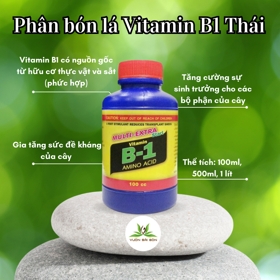 B1 Bón Cây Là Gì? Công Dụng, Cách Dùng Và Lưu Ý Quan Trọng