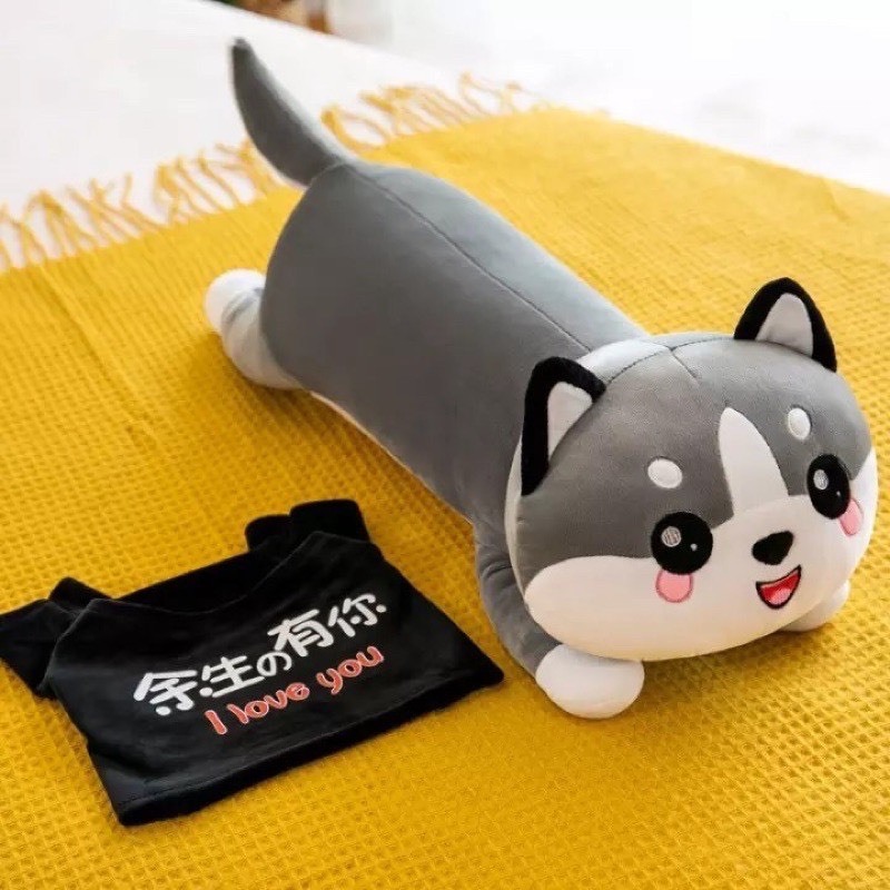 Gấu mèo bi xám, Gấu mèo Alaska 45cm đáng yêu, thú nhồi bông mềm mịn [freeship]
