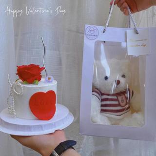 Túi Đựng Quà Trong Suốt Để Hoa Gấu Bông Đồ Dùng Cute Timo GQ30