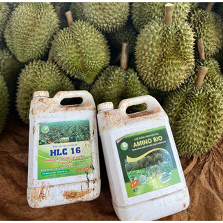 Combo hlc 16 và amino bio can 5L  phân bón lá cao cấp giúp bật chồi vọt đọt mập cơi xanh dày lá