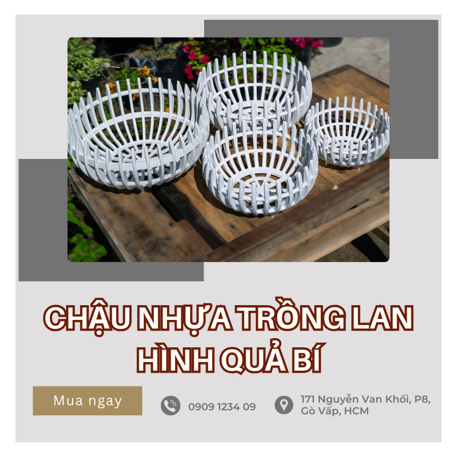 Chậu lan nhựa (Rổ trơn bầu) 5