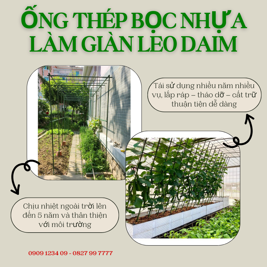 Ống thép bọc nhựa làm giàn leo Daim 4