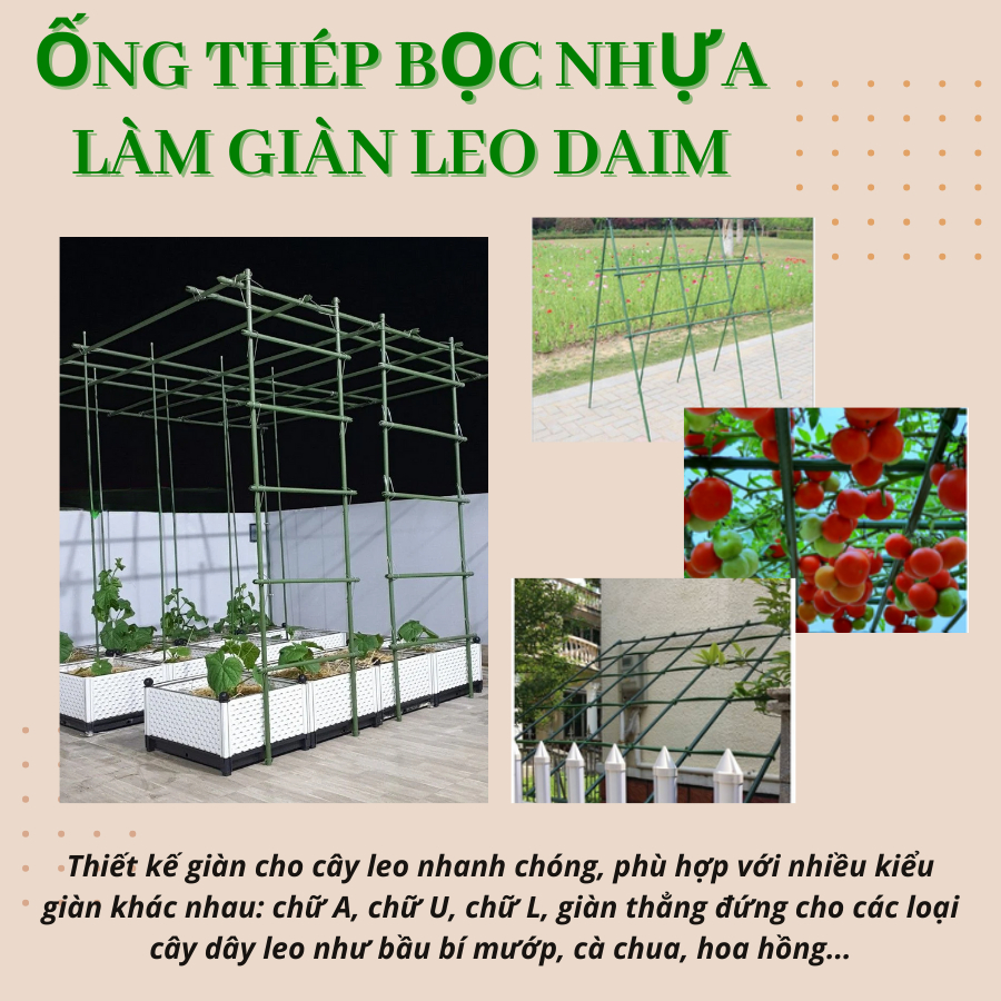 Ống thép bọc nhựa làm giàn leo Daim 6