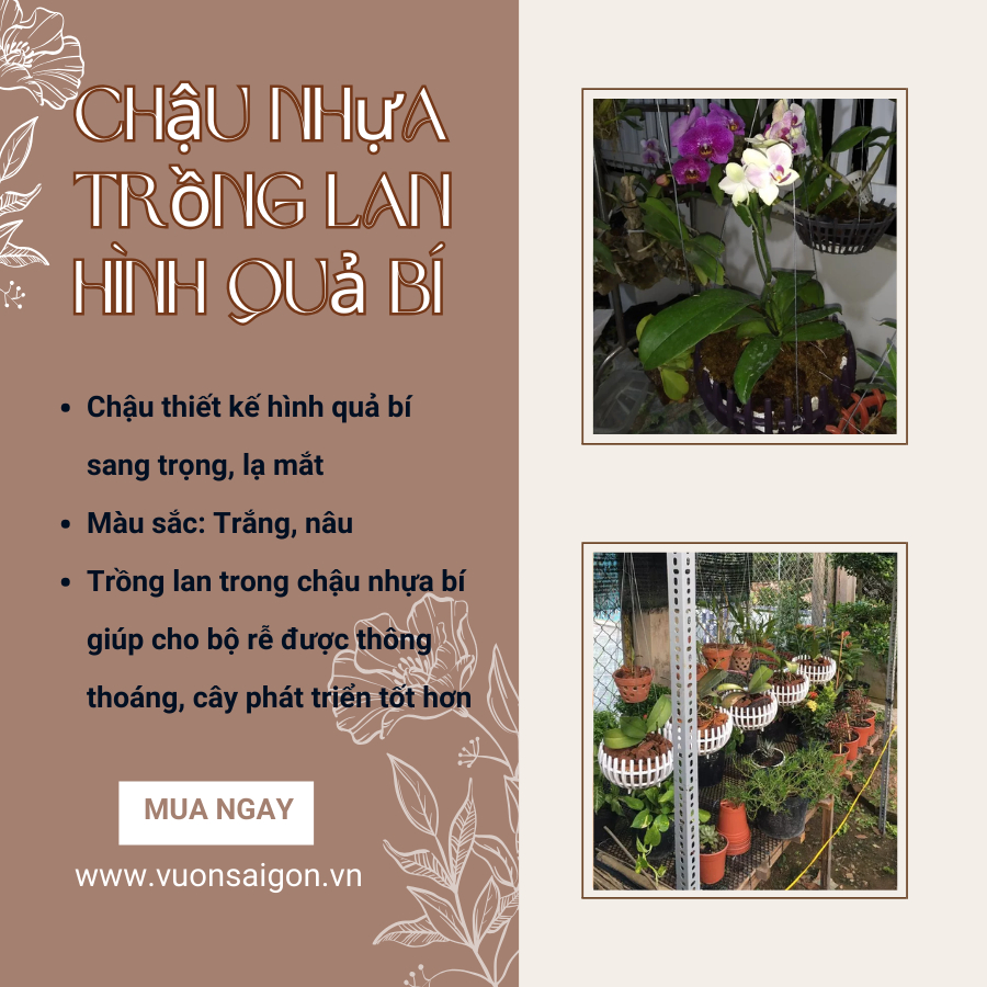 Chậu lan nhựa (Rổ trơn bầu) 4