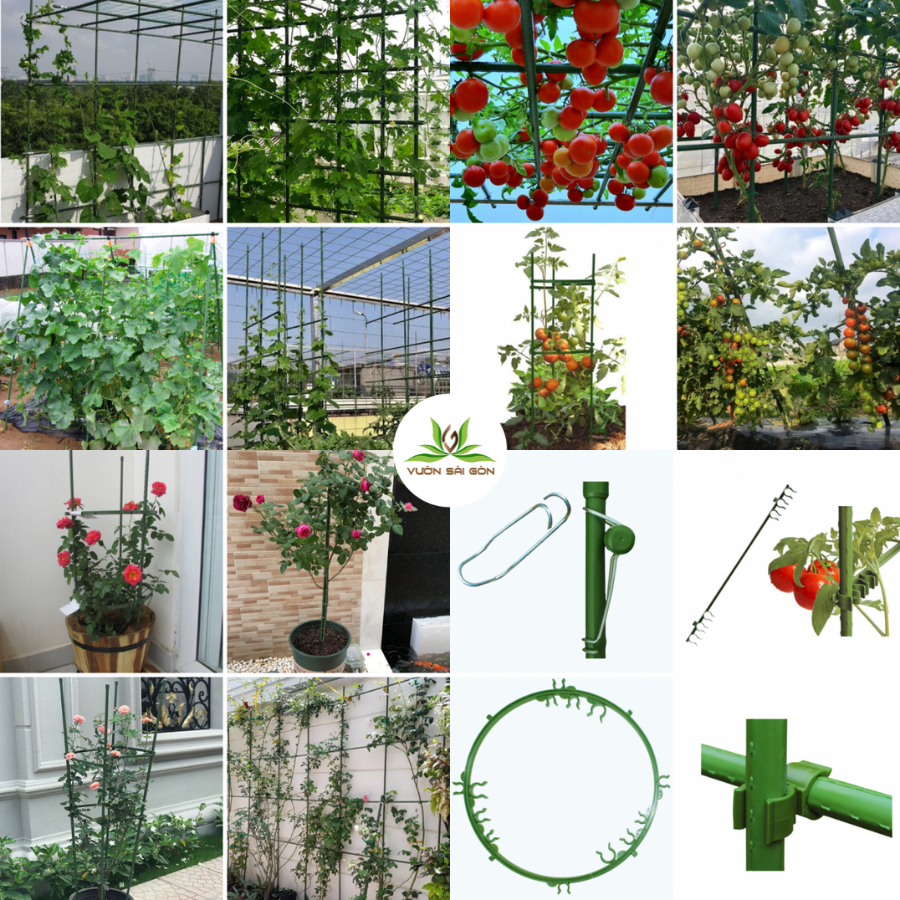 Ống thép bọc nhựa làm giàn leo Daim 7