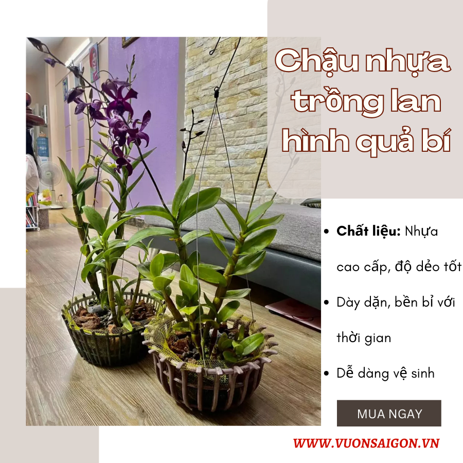 Chậu lan nhựa (Rổ trơn bầu) 3