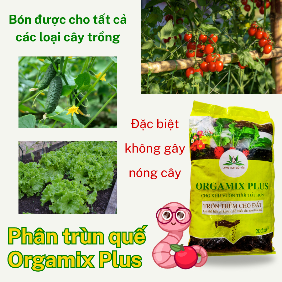 Phân trùn quế Orgamix Plus100% hữu cơ 1