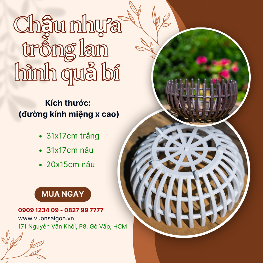 Chậu lan nhựa (Rổ trơn bầu) 2