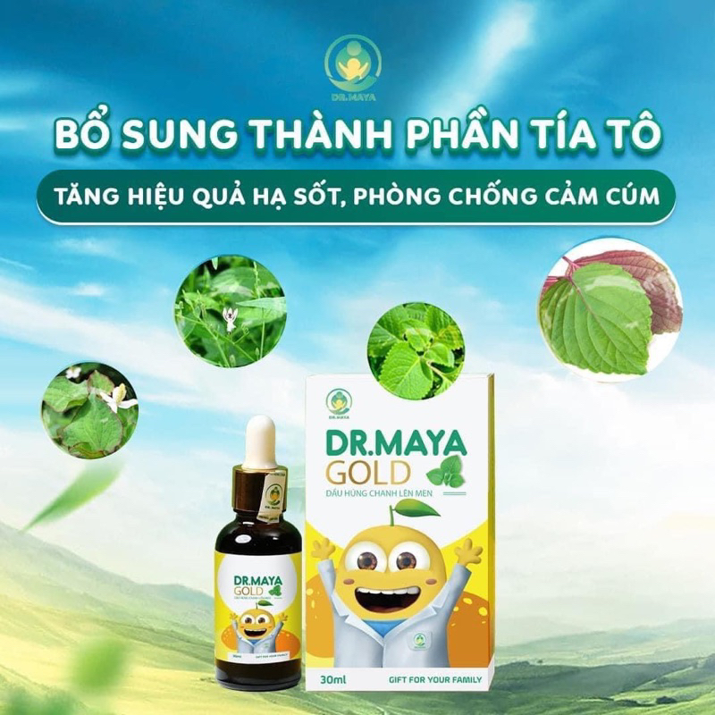 Ảnh Dầu húng chanh lên men Minion Gold Dr.Maya 30ml 4