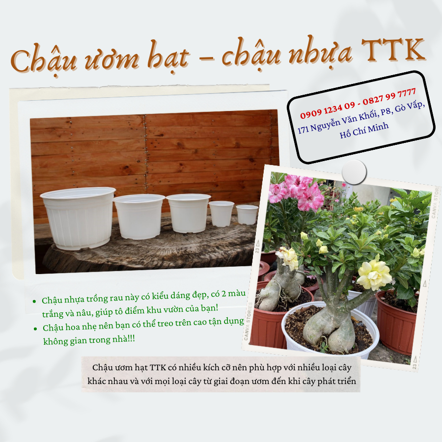 Chậu nhựa TTK